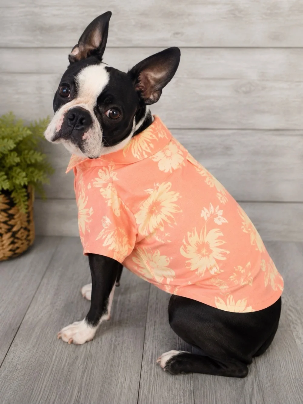 Floral Dog Button-Up Shirt | Boutique Pet Apparel Size: Medium | NWT